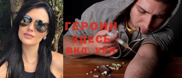 крисы Бородино