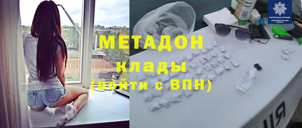крисы Бородино