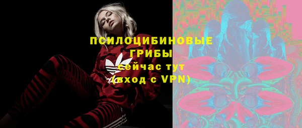 тгк Бугульма