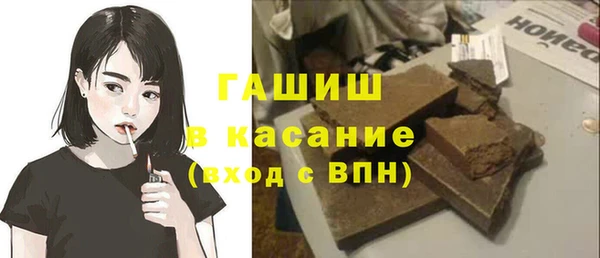 крисы Бородино