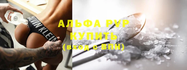 крисы Бородино