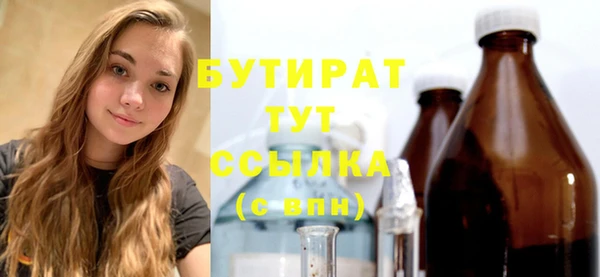 крисы Бородино