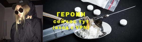 крисы Бородино