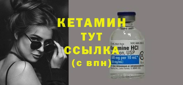 крисы Бородино
