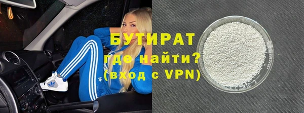крисы Бородино