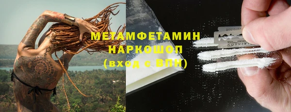 крисы Бородино