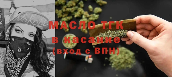 крисы Бородино