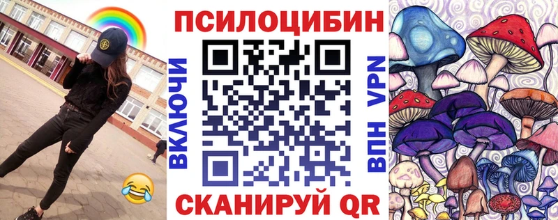 Купить закладки  Амурск  Галлюциногенные грибы MAGIC MUSHROOMS 